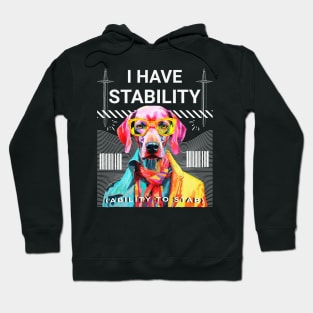 I Have Stability Hoodie